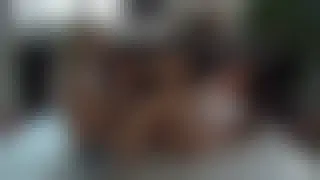 Footfetish lesbians enjoy sucking each other's toes and feet